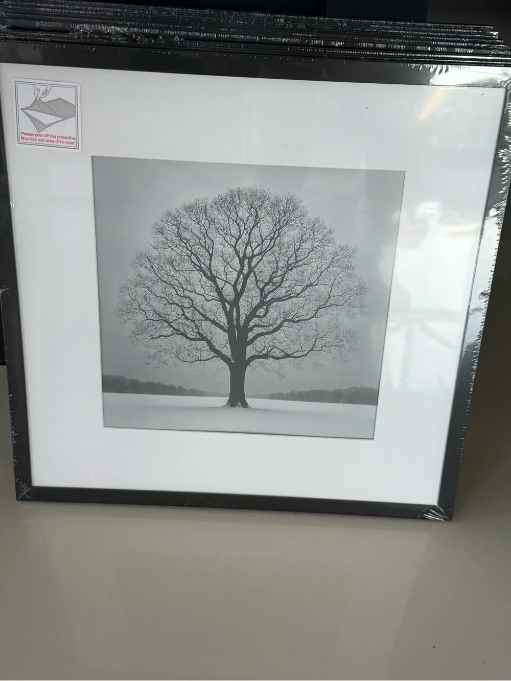 Black Framed Tree Wall Art Print